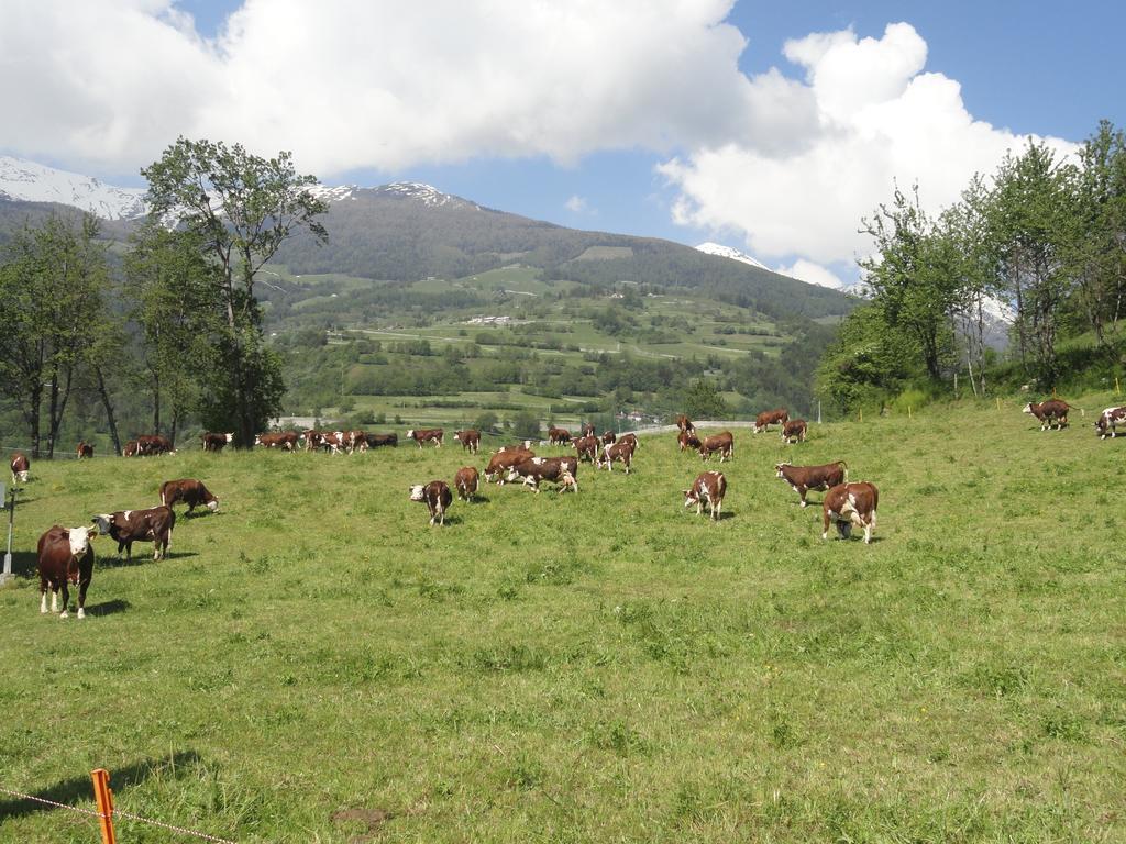 Hotel La Maison Du Bon Megnadzo Doues Esterno foto